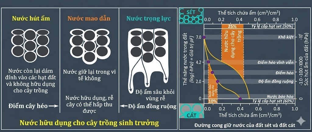 đường cong giữ nước của đất